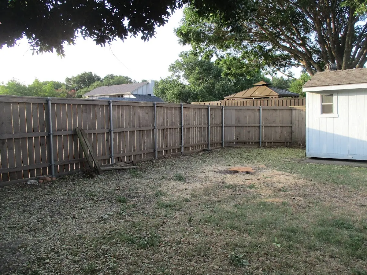 Cleared yard after professional tree removal in Holliston